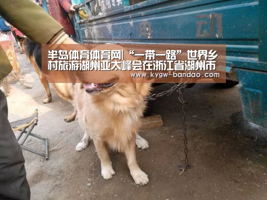 半岛体育体育网|“一带一路”世界乡村旅游湖州亚太峰会在浙江省湖州市吴兴区原乡小镇景区举办
