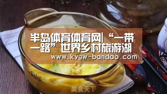 半岛体育体育网