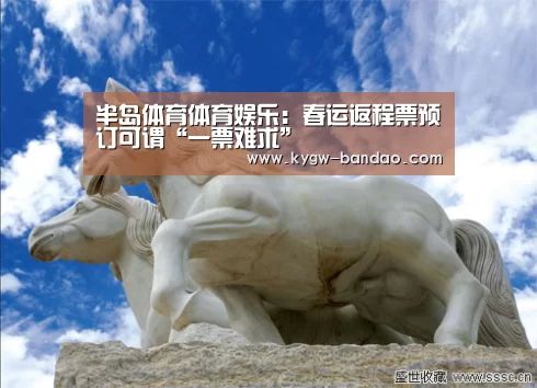 半岛体育体育娱乐：春运返程票预订可谓“一票难求”