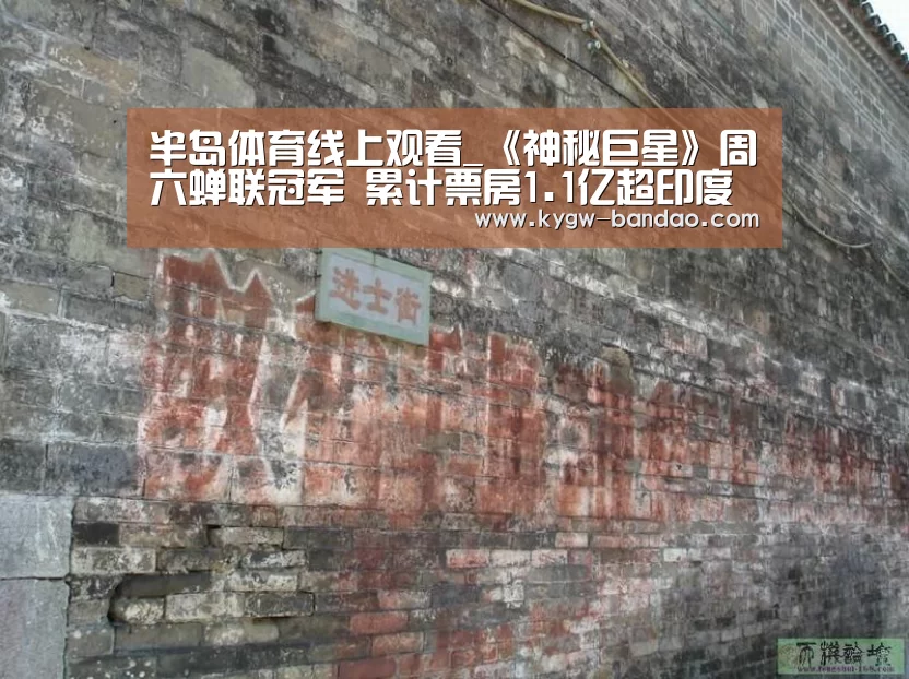 半岛体育线上观看_《神秘巨星》周六蝉联冠军 累计票房1.1亿超印度本土