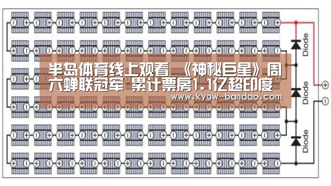 半岛体育体育娱乐