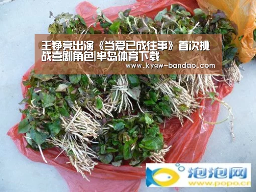 王铮亮出演《当爱已成往事》首次挑战喜剧角色|半岛体育下载