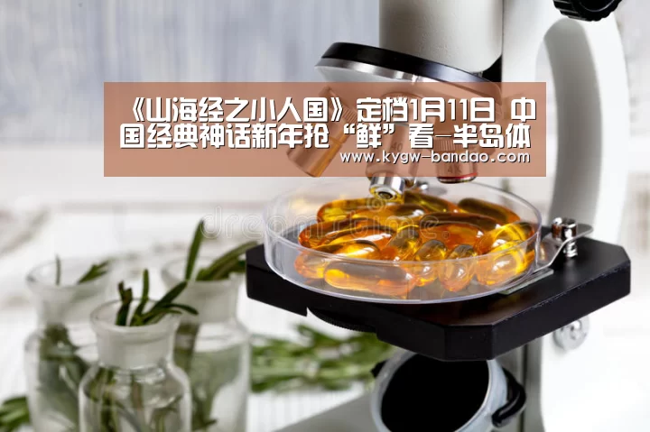 半岛体育体育网