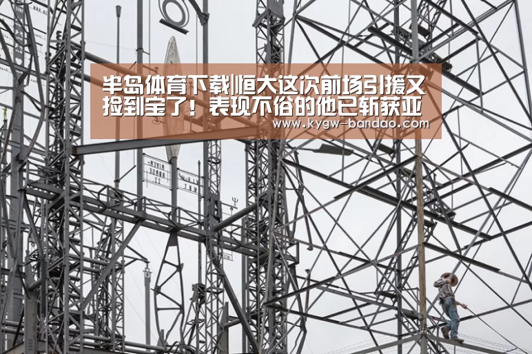 半岛体育体育网