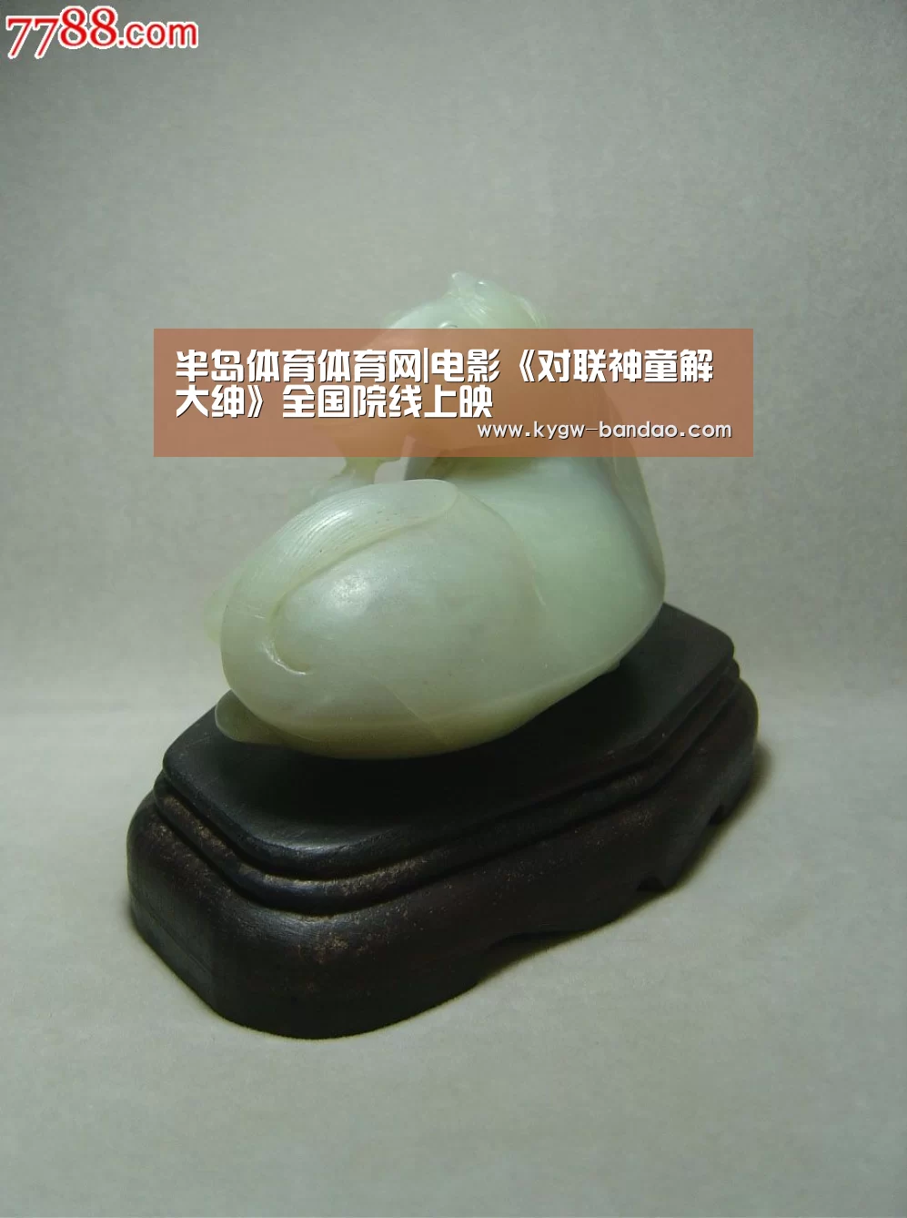 半岛体育体育网|电影《对联神童解大绅》全国院线上映