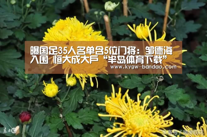 半岛体育体育娱乐